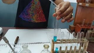 Class 10 Chemistry Experiment 4  Test Of Copper Ion [upl. by Ynttirb]