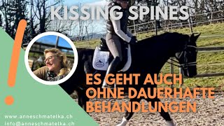 Kissing Spines  wenn du das berücksichtigst dann geht es auch ohne Dauerbehandlungen [upl. by Horten144]