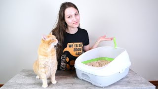 Tidy Cats Breeze Litter Box Review We Tried It for 2 Weeks [upl. by Anwahsar]