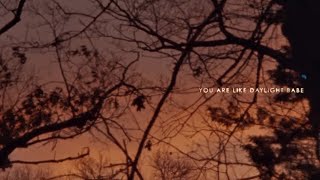 Vance Joy  Daylight Official Lyric Video [upl. by Hailee618]