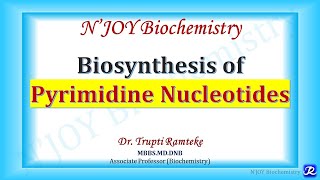 Pyrimidine Biosynthesis  Nucleotide Metabolism  Biochemistry  NJOY Biochemistry [upl. by Roswald]