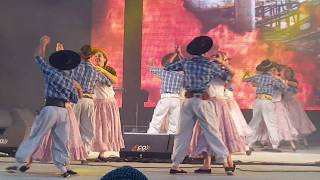 Pueblo Chamamecero  Cuerpo de Danzas del Festival Nacional del Chamame [upl. by Wojak]