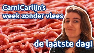 Week zonder vlees 5  Wat betekent vleesloos leven voor je portemonnee [upl. by Nosredneh]