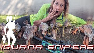 Iguana Snipers Ending hunting day 2 at quotInvasive Landquot with Giant Iguanas [upl. by Emya]