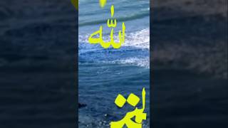 99 Names of Allah beautiful allah shorts [upl. by Naol]