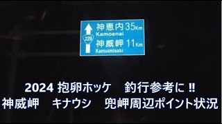 【2024 秋ホッケ釣り】釣れているか漁港等 数カ所を回ってきました。 2024 11 14 ＃抱卵ホッケ＃ジギング＃兜盃漁港 [upl. by Assilac]