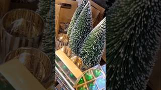 Hornbach Kerst Mini Shoplog 2024🎄 [upl. by Gingras445]