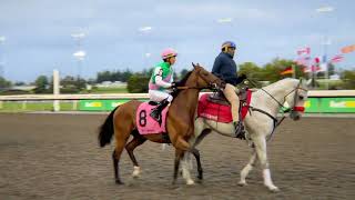 Gulfstream Park Replay Show  August 30 2024 [upl. by Adrea]