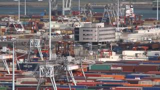 Liebherr straddle carrier SC 340S at ECT Delta terminal [upl. by Rorke291]