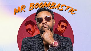 SHAGGY  MR BOOMBASTIC REMIX MUSIC VIDEO [upl. by Beshore]