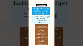 Functions of phospholipids [upl. by Bekah]