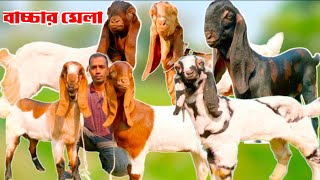 ❤️❤️🐐🐐 বাচ্চা ছাগলের মেলা ইলিয়াস ভাই এর ছাগলের বানিজ্যিক খামারে  সংগ্রহ করুন হাই কোয়ালিটি বাচ্চা [upl. by Nollad]