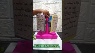 Types of sentences  English TLM model  English working model project  Exhibition model for school [upl. by Nnyl]