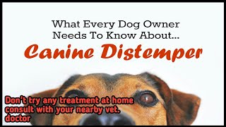 canine distemper  symptoms causesprevention  by THE PET VISION [upl. by Ghassan]