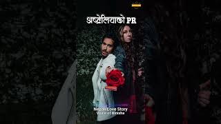 Australia ko PR  A Real Love Story  Nepali Novel Audio  Nepali Love Story [upl. by Nnav82]