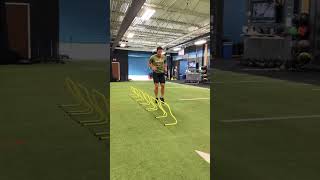 ANNEX Sports Performance  Zig Zag Repeat Countermovement Hurdle Hops [upl. by Eatnohs]