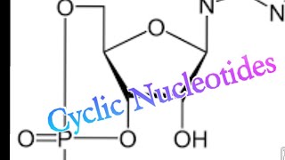 Cyclic Nucleotides  Biochemistry cAMP cGMP [upl. by Ahsiekin]