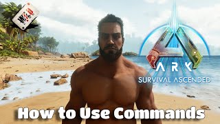 ARK Survival Ascended  How to Use Console Commands and Creative Mode NEW CHANGES [upl. by Lrig]