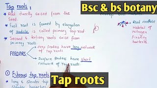 Tap Roots And Its Types  Fibrous And Tuberous Tap Roots  Class Bsc Botany [upl. by Astraea]