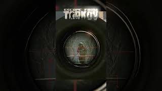 GPU Hunters  Escape From Tarkov shorts tarkov [upl. by Yffat]