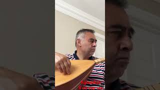 Ağladıkça Ahmet Kaya saz bağlama bağlama türkü saz müzik music neşetertaş ahmetmahmutünlü [upl. by Theodor201]