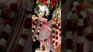 Joy shree krishna joy radhe gobindo jairadhejairadhejaishrikrishnabolo [upl. by Botti]