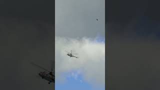 Missile hits Mi8 helicopter transporting Russian officersMilitary Simulation shorts [upl. by Heidi]