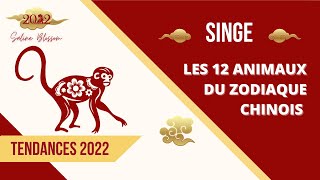 Astrologie chinoise BaZi  année du Tigre 2022  signe du Singe 🐒 [upl. by Nathalie992]