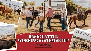 How To Set Up The 810 Head Cattle Working System 🐮 [upl. by Radke]