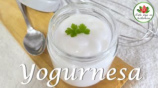 Mayonesa de yogur o yogurnesa receta sin histamina sin gluten sin lactosa y vegana [upl. by Grogan]