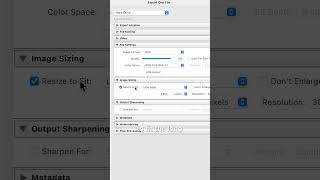 BEST Export Settings for Instagram [upl. by Anhaj754]