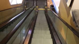 How to ride an escalator [upl. by Kremer782]