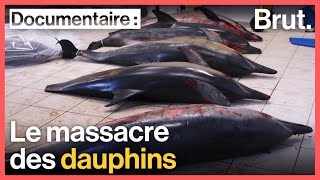 France  le massacre des dauphins [upl. by Evatsug355]