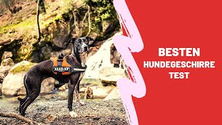 ✅ Die Besten Hundegeschirre Test  Top 5 [upl. by Ennire]