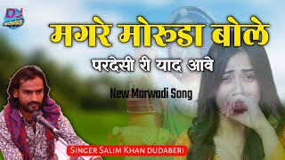 मगरे मोरुडा बोले न्यू सोंग सलीम खान दूदाबेरी की आवाज में। Magre Moruda Bole New Rajasthani Song [upl. by Pembroke]