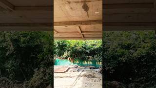 Day34  DeShuttering civilengineering construction structural shortvideos youtubeshorts [upl. by Nadaba]