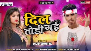 Dil Todi gai singer Dilip Bhuriya [upl. by Eetsirk]