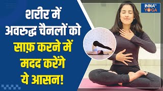 Yoga Tips for Ulcer शरीर में अवरुद्ध चैनलों को साफ़ करने में मदद करेंगे ये 4 आसन Yogatips [upl. by Towney]