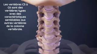 Mieux comprendre les vertèbres cervicales  Chirohealth Chiropracteur à Toulouse [upl. by Jahn]