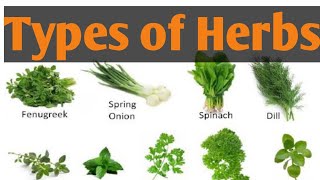 Types of Herbs different types of Herbs Names  Herbs  lunatic Cook [upl. by Vickey340]