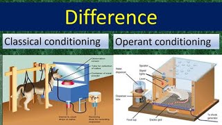 difference between classical conditioning and operant conditioning deneerajkumar Pavlov  Skinner [upl. by Fredette]