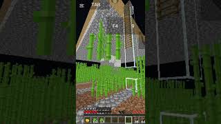 pojavlauncher isurvived100daysminecraftinhindi minecrafthumor gaming minecraftjokes village [upl. by Suolhcin]