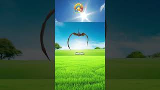 Pterodactyl  The Flying Dinosaur  Fun Dinosaur Song for Kids dinosaurs dinosaur pteranodon [upl. by Liddy]