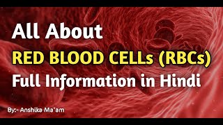 All About Red Blood Cells – Hindi – Interactive Biology [upl. by Anahpos]