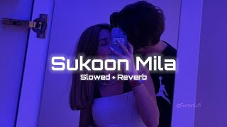 Sukoon Mila  Arijit Singh  Slowed amp Reverb  Mary Kom  Sukoon Mila Song Lofi Arijit Singh [upl. by Manuela]