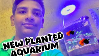 New planted tank setup  low tech planted aquarium 🐟🐠🐟🐡  cylindrical aquarium  cylinder aquarium [upl. by Helyn]