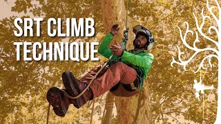 How to climb SRT  SRS  beginner tree climbing  stationary rope system  Arborist tipstricks [upl. by Rma]