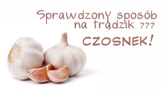 Mój sprawdzony sposób na trądzik  pryszcze  CZOSNEK [upl. by Lehcar]