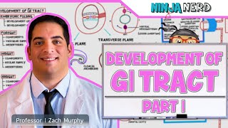 Gastrointestinal  Development amp Embryology of the GI Tract Part 1 [upl. by Chae]