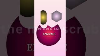 Enzyme Kinetics Biological Catalysts shortvideo shorts viralshorts enzymes [upl. by Arno720]